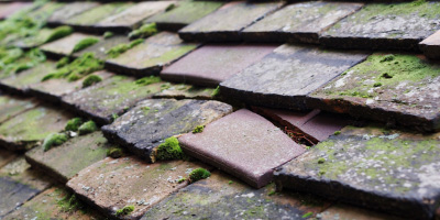 Marcham roof repair costs